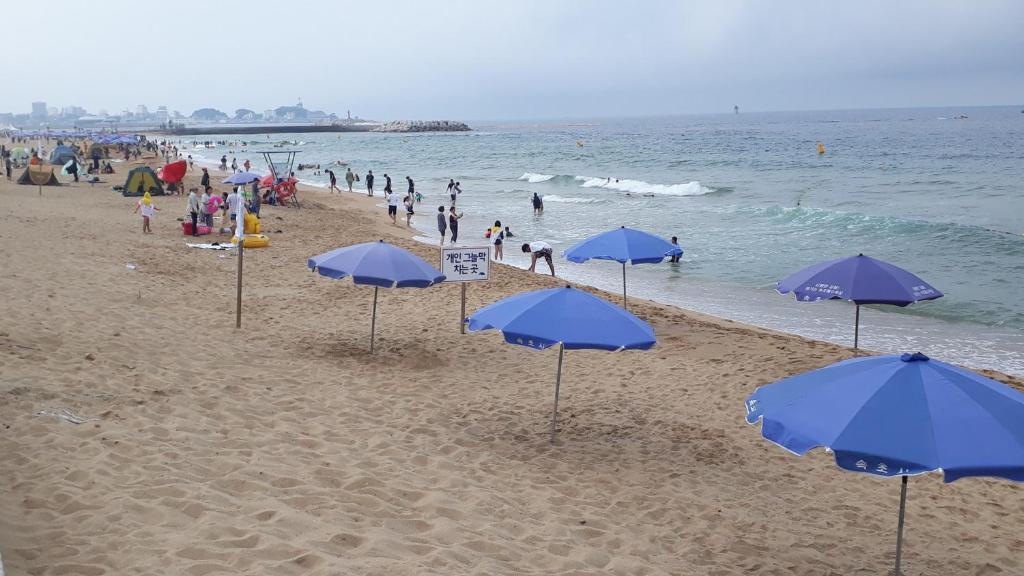 סוקצ'ו Sunrise Hotel Junior Suite Room11F Sea- View מראה חיצוני תמונה